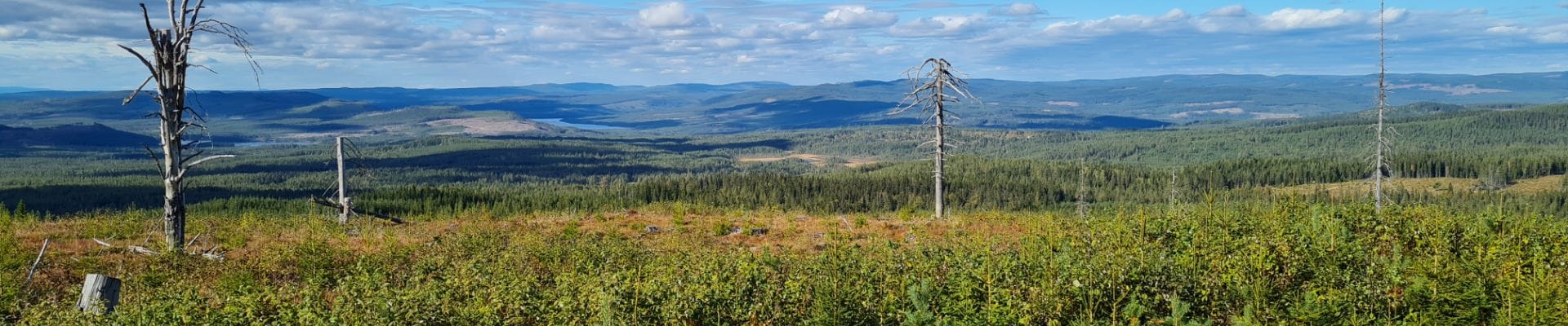 Praktiska delar i kursen