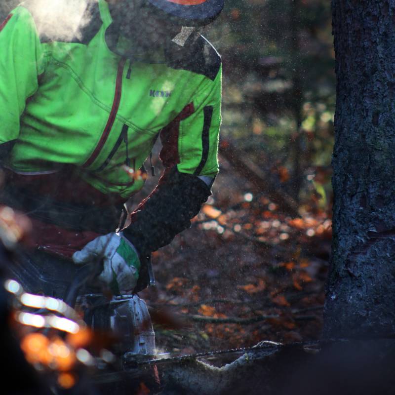 imgcard - 2023-08-29T154545.750